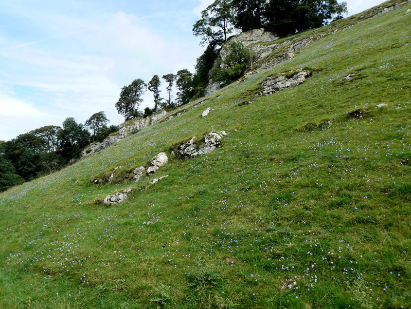 Wolfscote Dale Wolfscote Dale